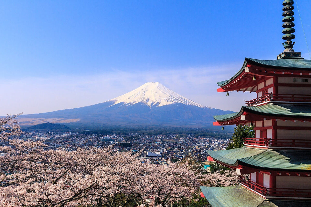 富士山一日游怎么安排最顺？东京出发 5 条经典路线对比