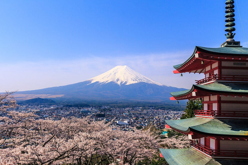 富士山一日游怎么安排最顺？东京出发 5 条经典路线对比