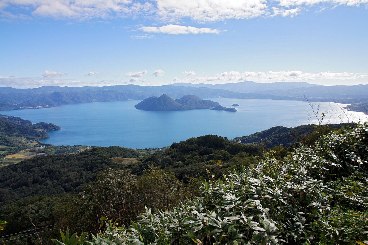 洞爷湖全景与中岛 北海道洞爷湖一日游