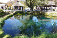 忍野八海清泉与古村 富士山一日游景点