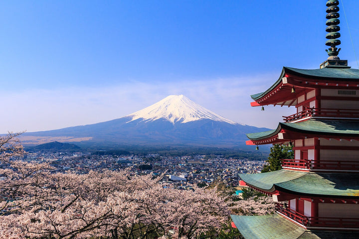 富士山经典一日游 新仓山浅间公园忠灵塔与富士山同框