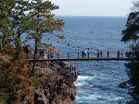 东伊豆海岸一日游 · 大室山・伊豆仙人掌动物园・观海列车・城崎海岸（东京出发）