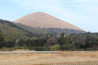 东伊豆海岸一日游 · 大室山・伊豆仙人掌动物园・观海列车・城崎海岸（东京出发）