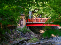 修善寺温泉街 桂川红桥