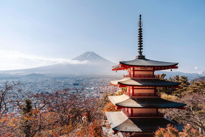 富士山经典一日游 · 忍野八海・河口湖大石公园（东京出发）