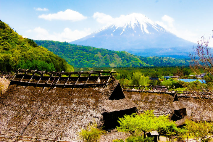 富士山传统村落文化一日游 · 西湖里根场・忍野八海（东京出发）