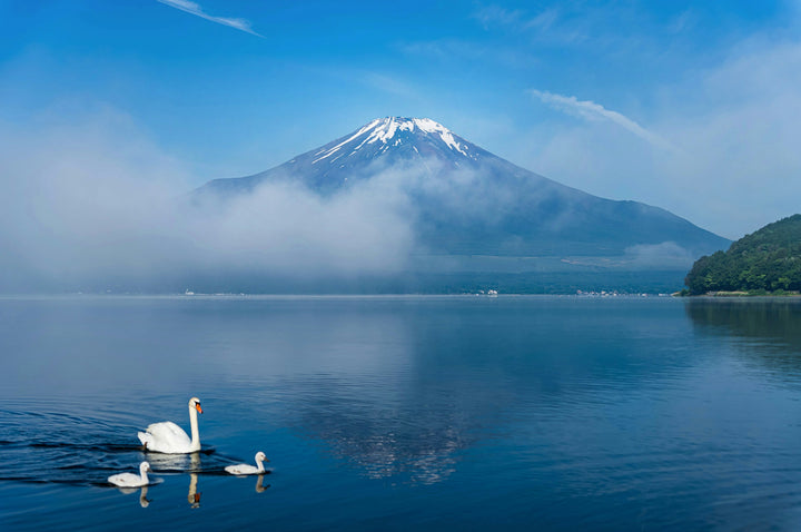 富士山五合目体验一日游 · 忍野八海・山中湖游船（东京出发）