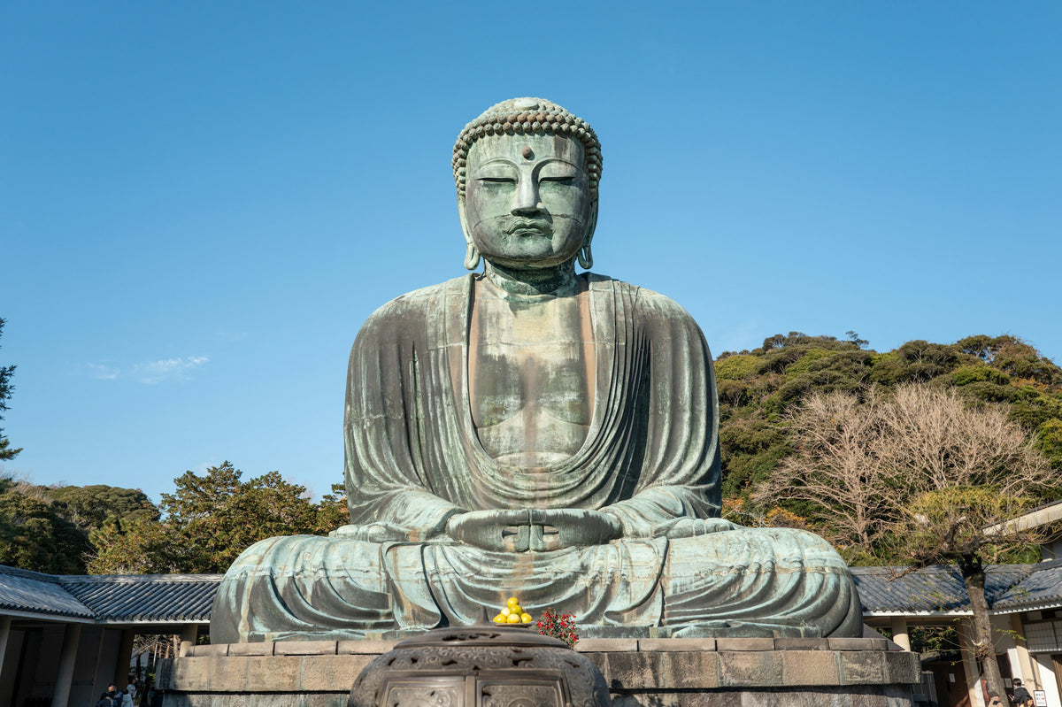镰仓 高德院大佛