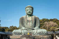 镰仓 高德院大佛